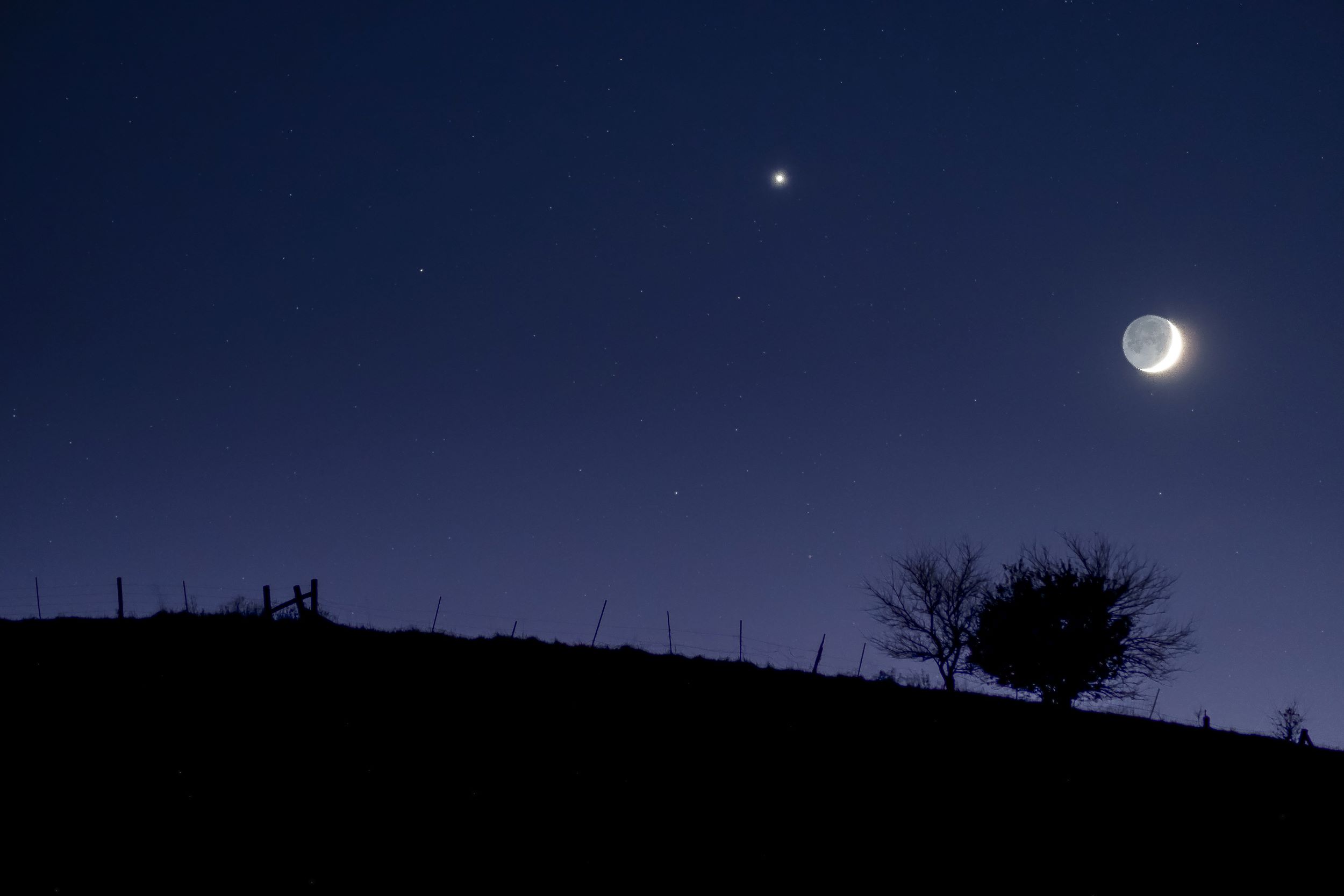 Crescent Moon and Venus