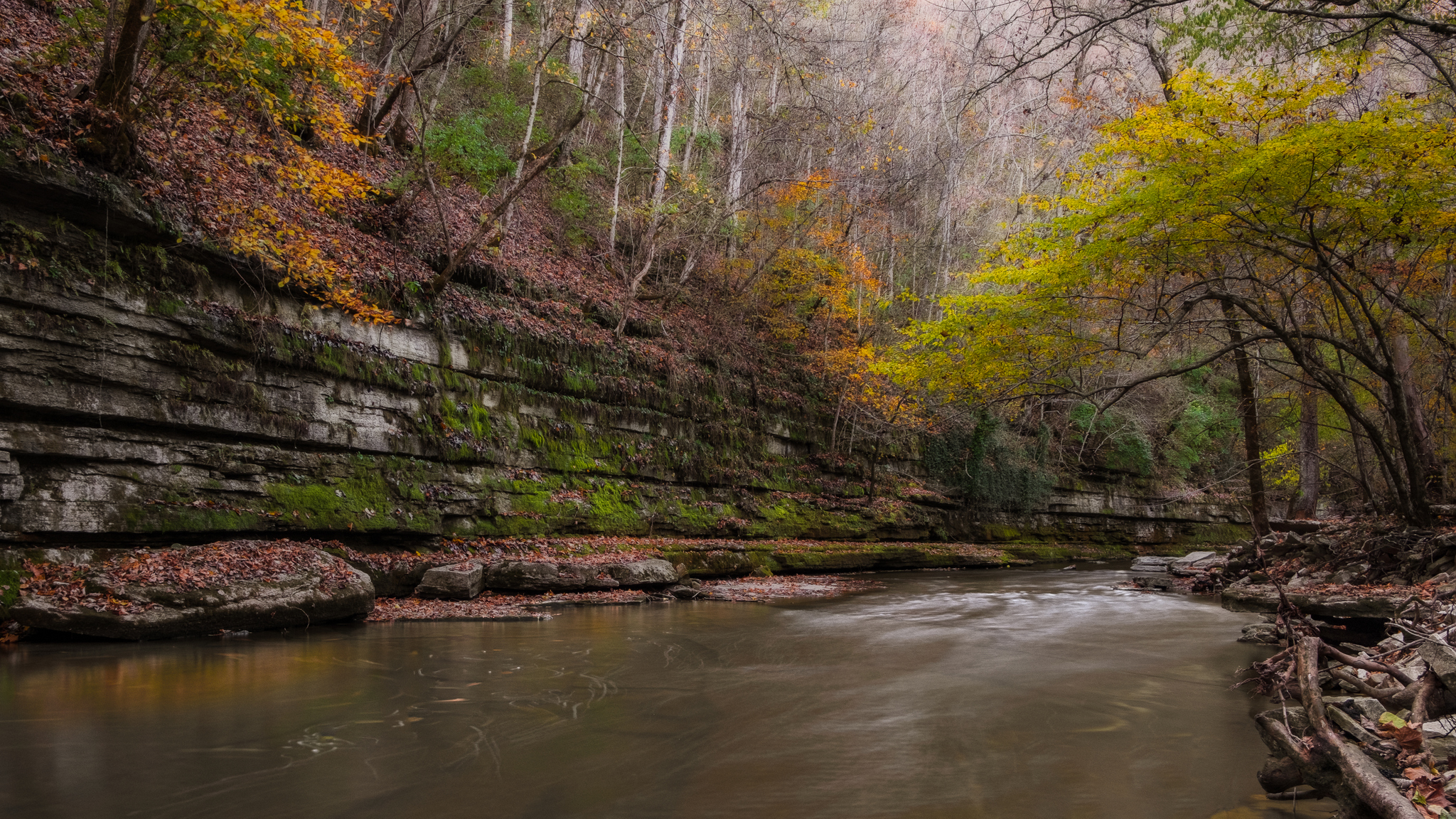 Soft light on the creek