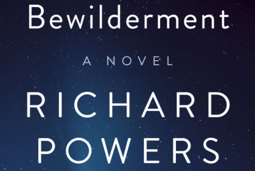 Bewilderment book cover