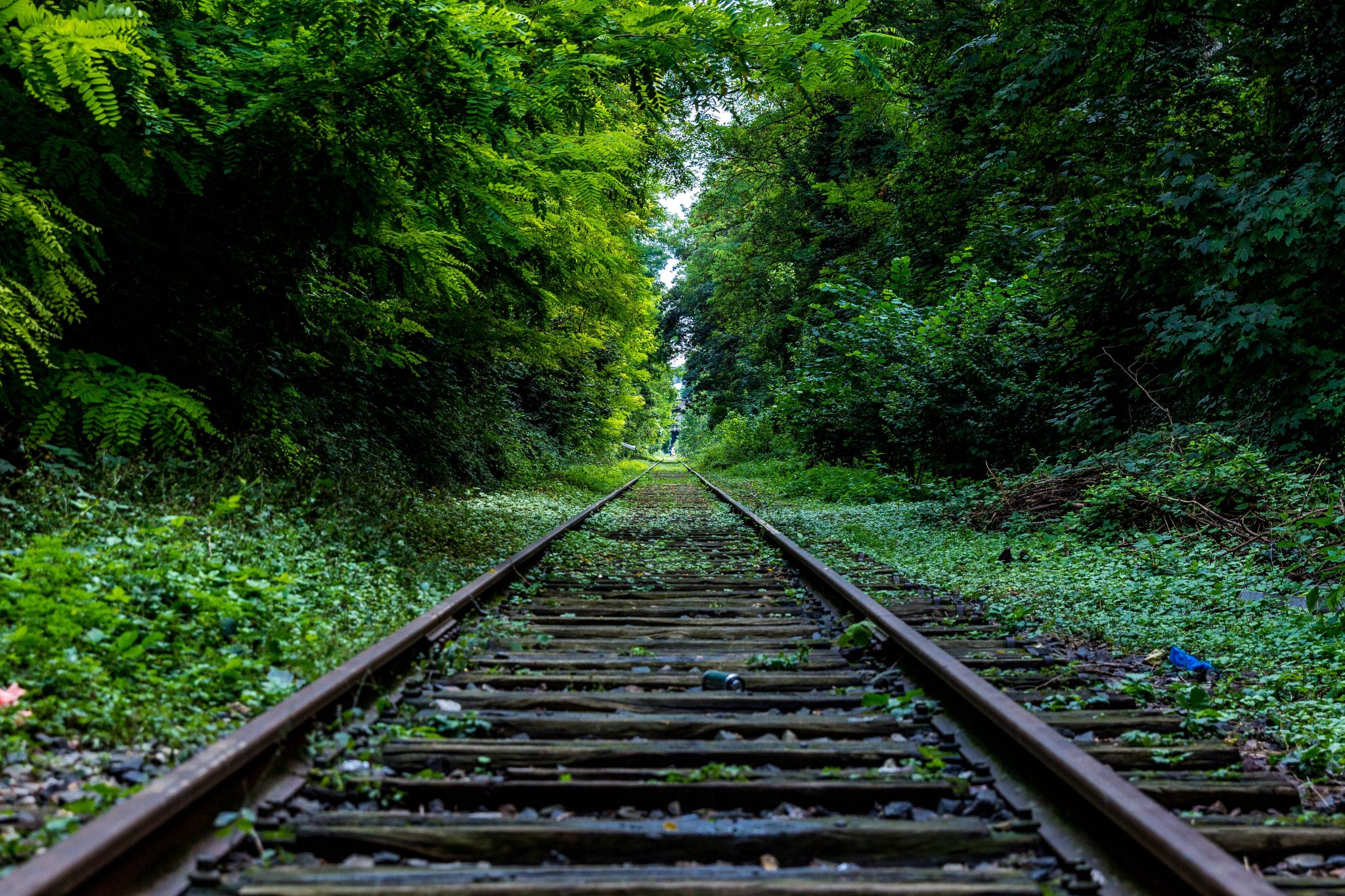 In Praise of Sadness
