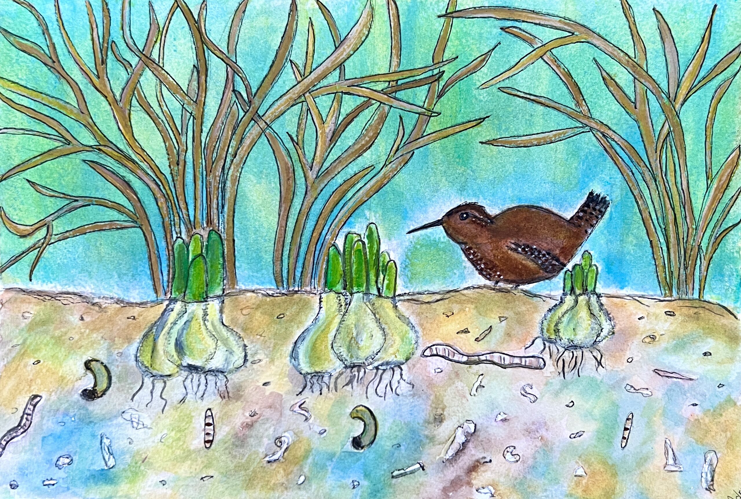 Spring has (almost) sprung!