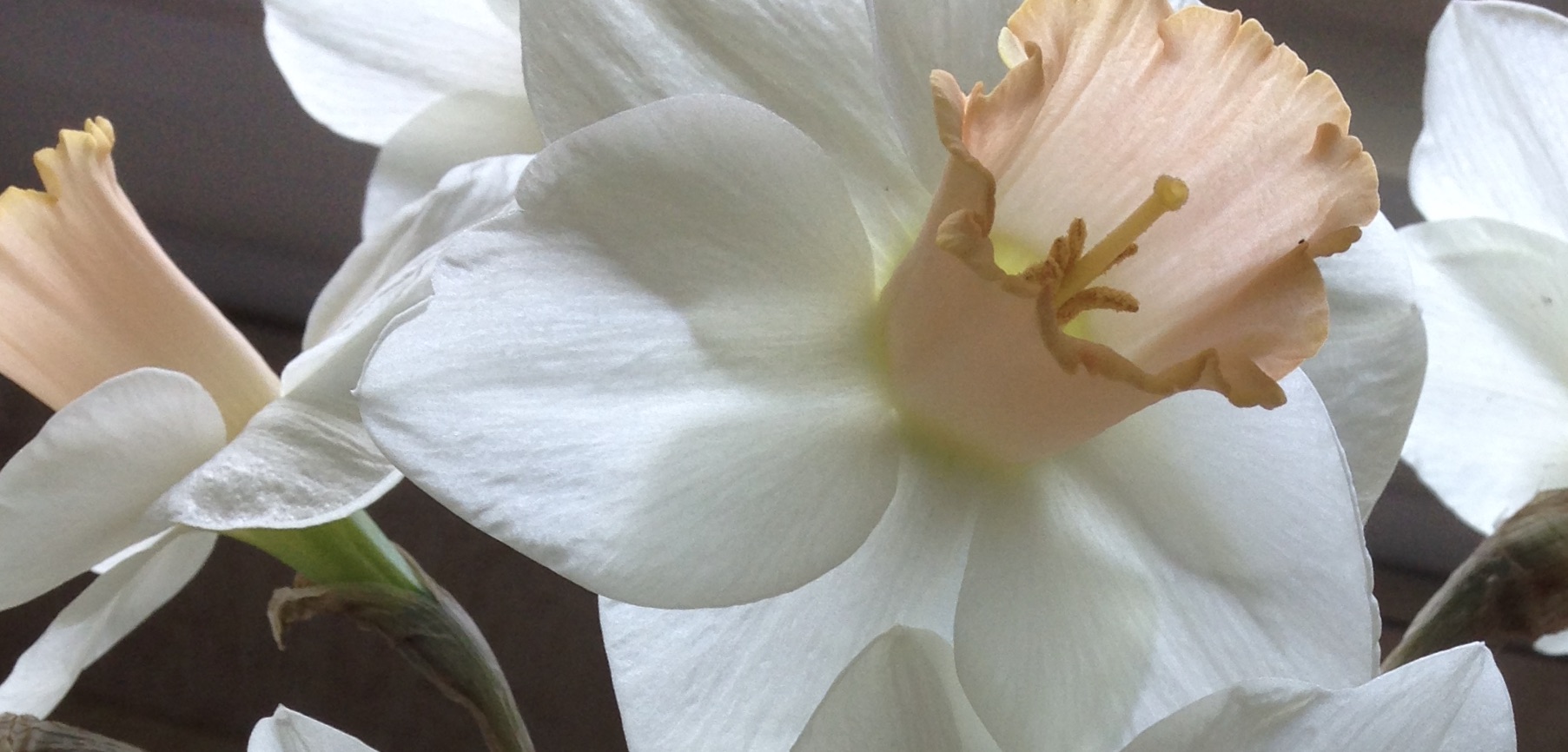 An antidote to information overload