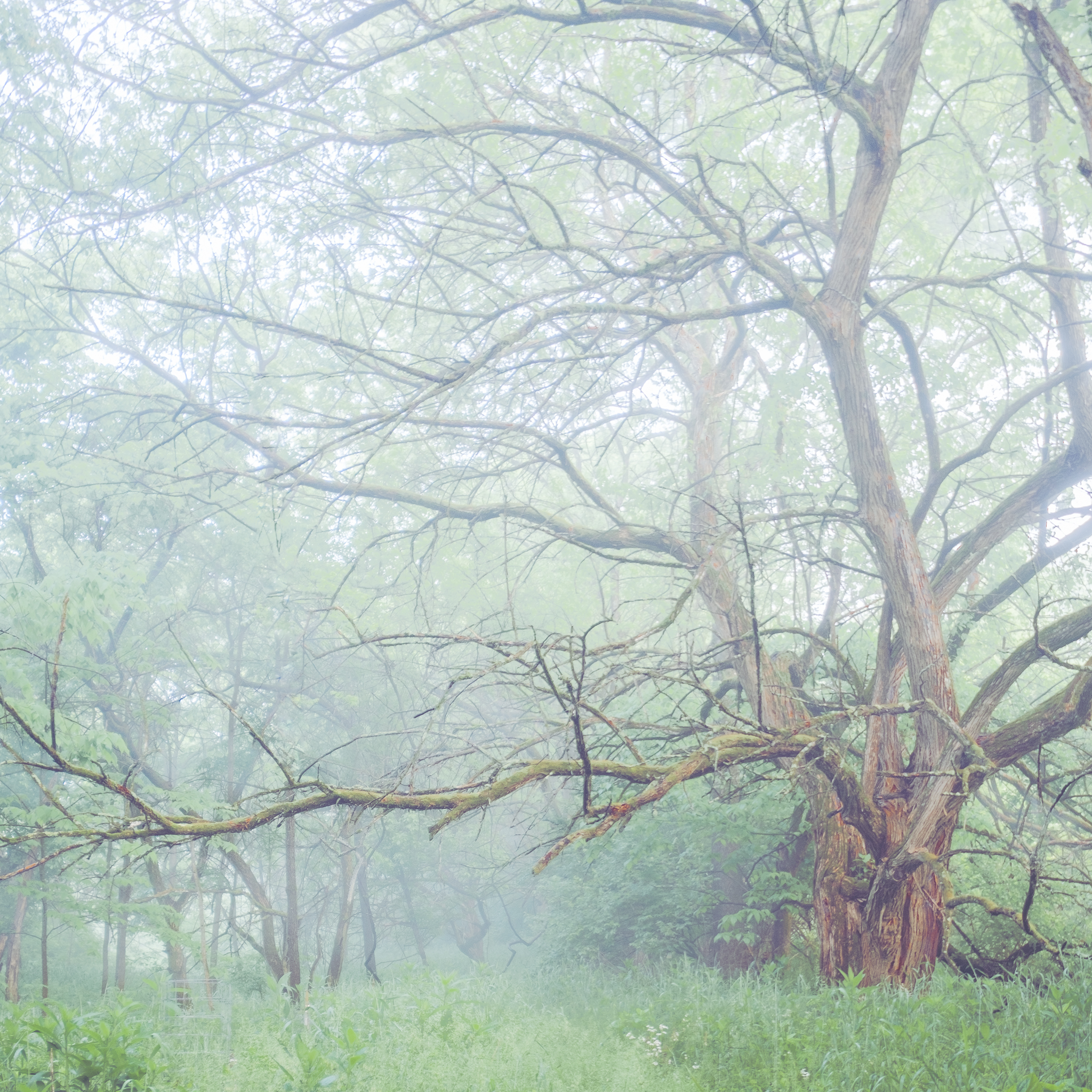 Reaching
