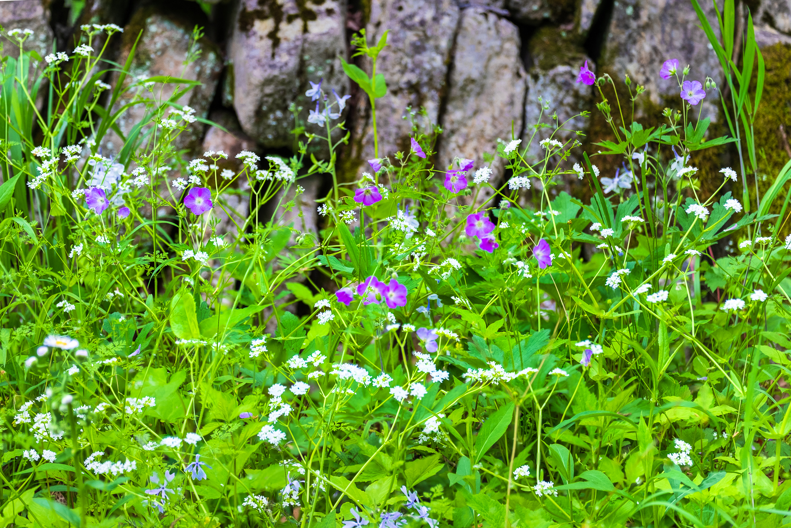 Spring Bouquet