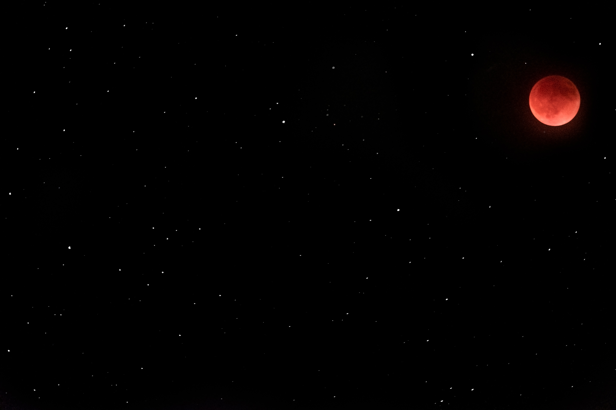 Super Flower Blood&nbsp;Moon