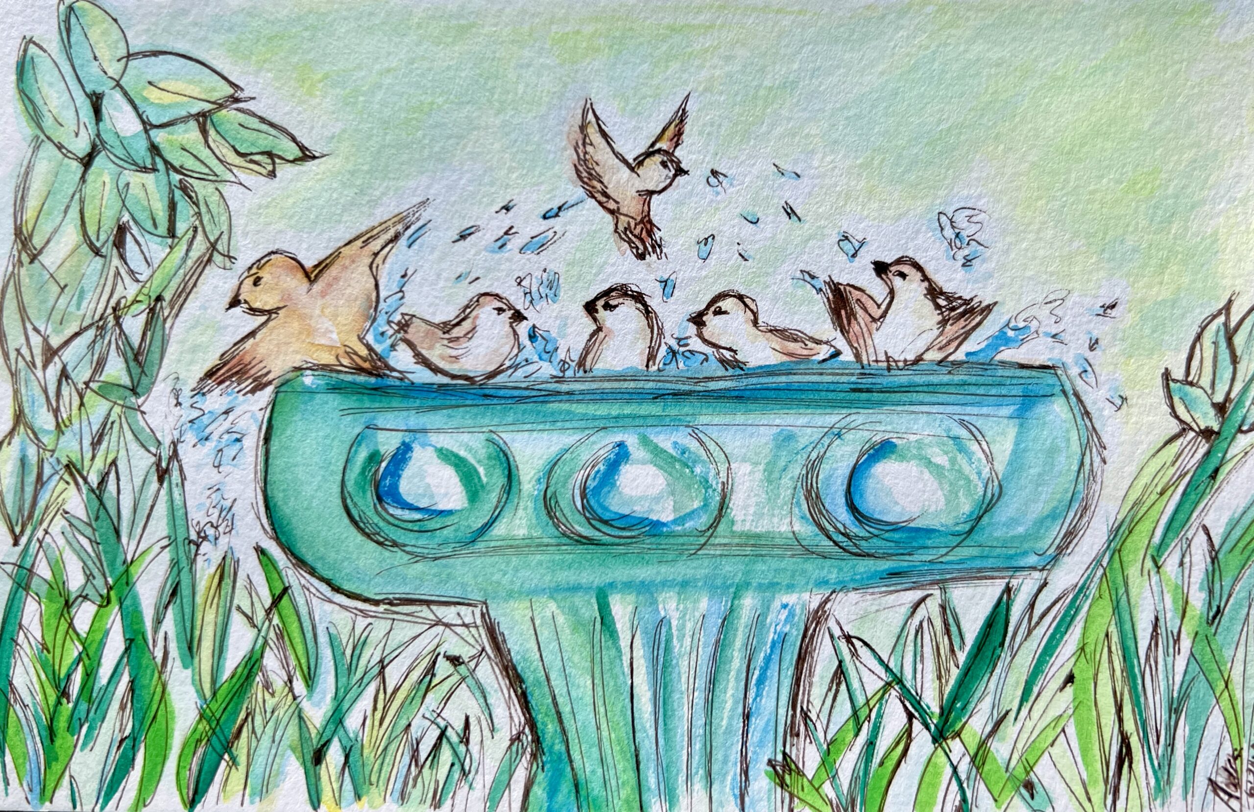 Splashdown!