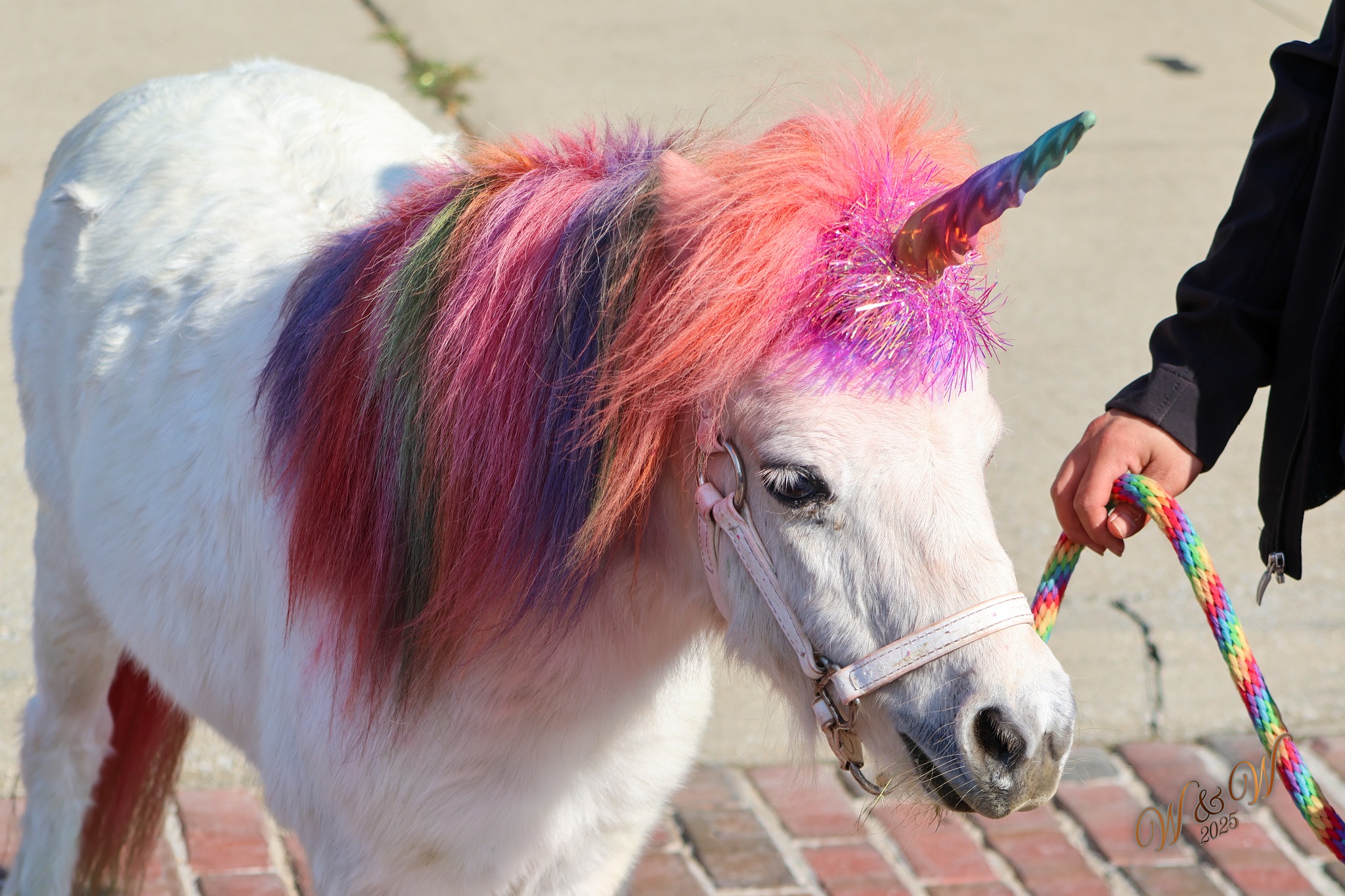 A ‘magical’ day in Winchester