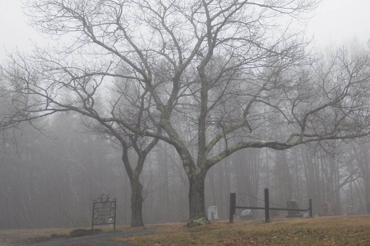 A misty, spooky graveyard scene. (Submitted)