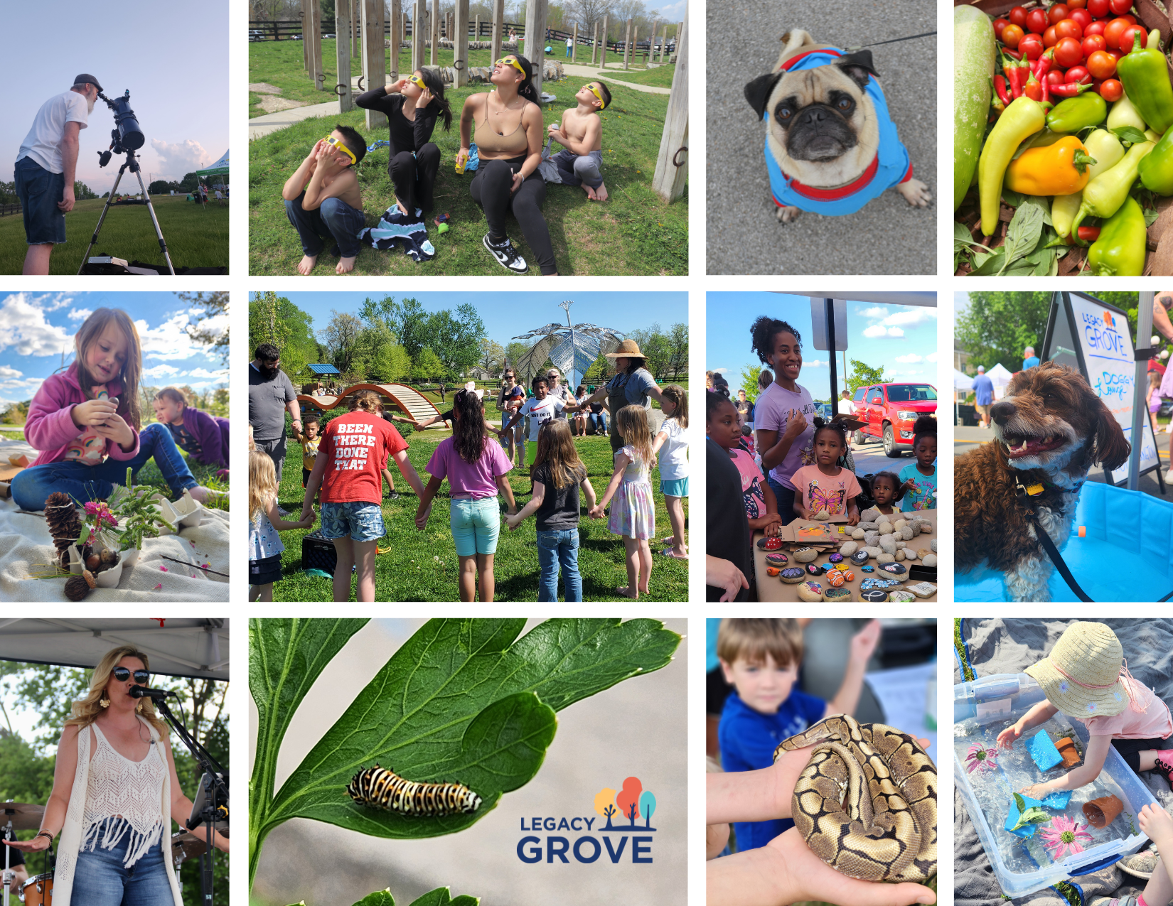 Your Voice: Legacy Greenscapes