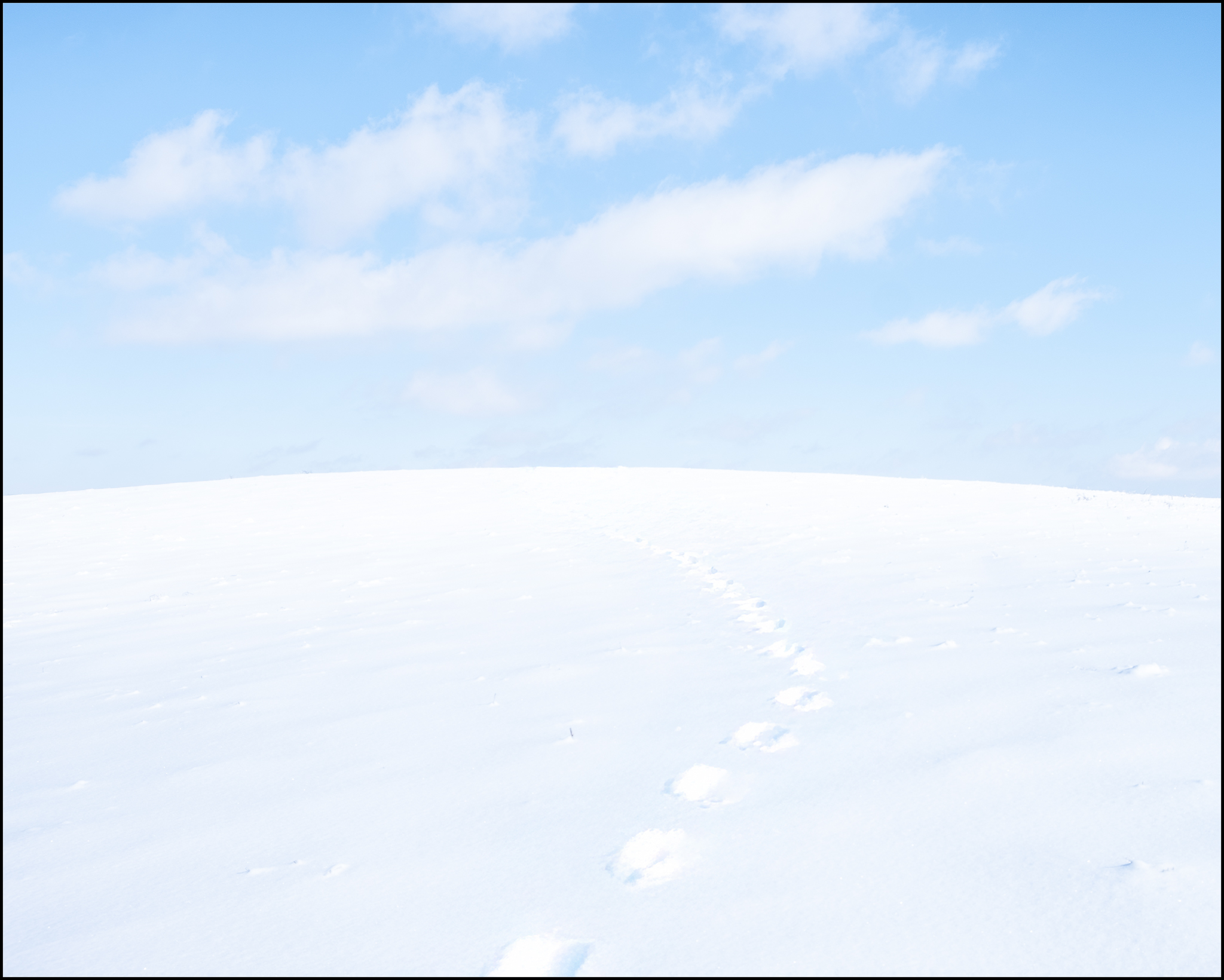 a winter walk