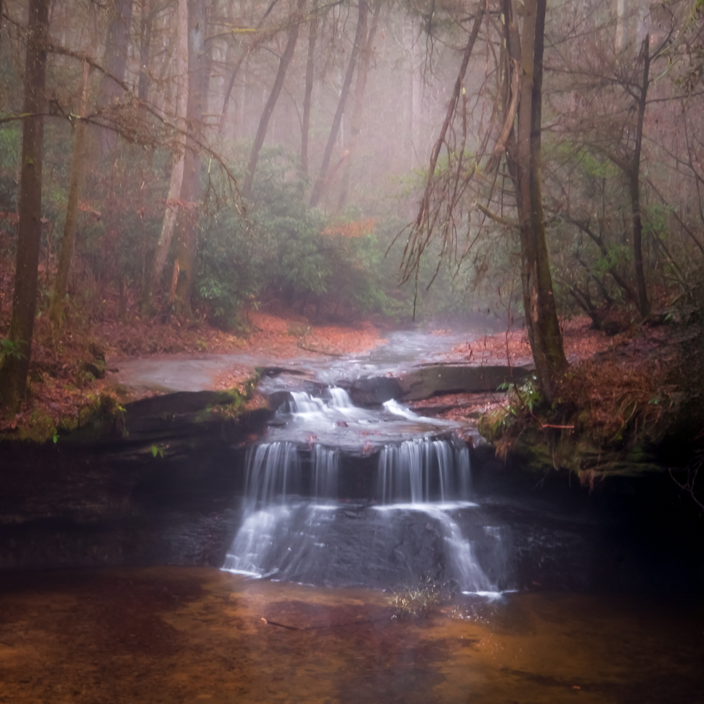 Creation Falls, Red River Gorge