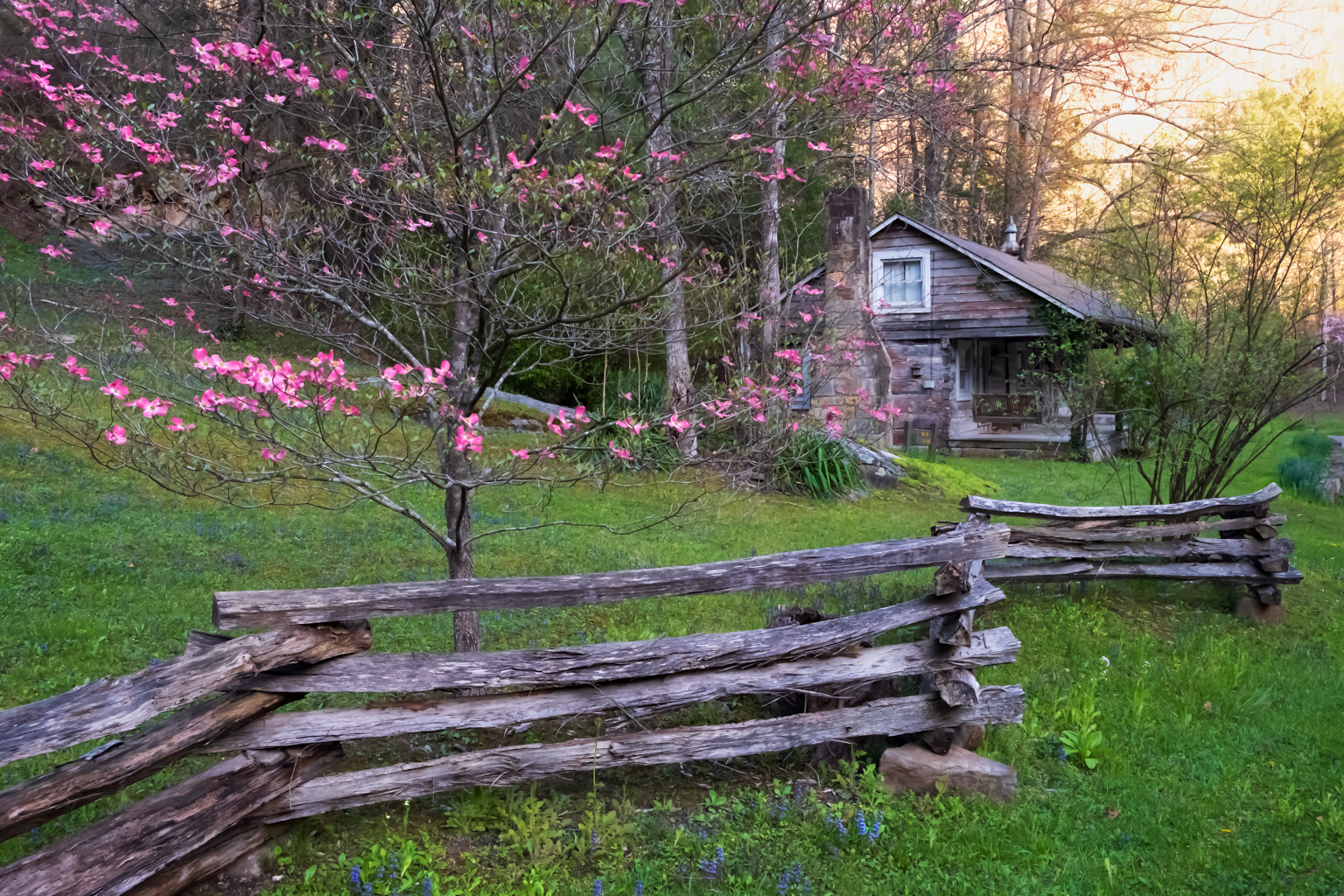 Cabin in Harlan County, Kentucky