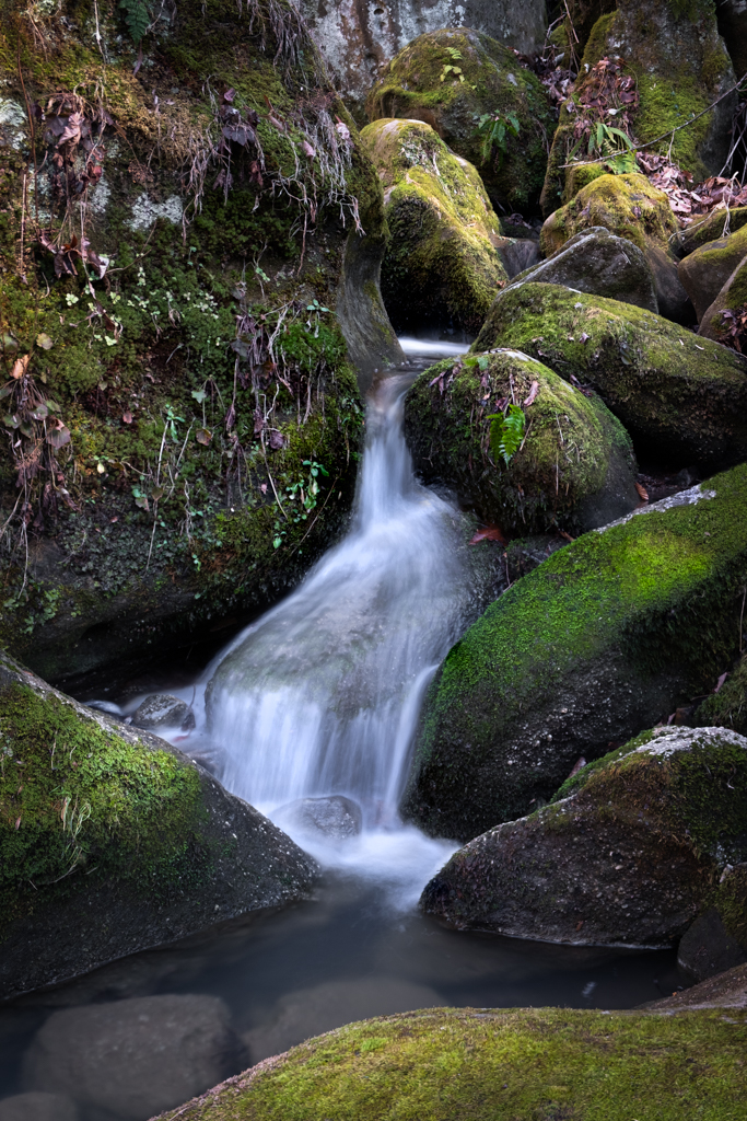 Winter Waterfall