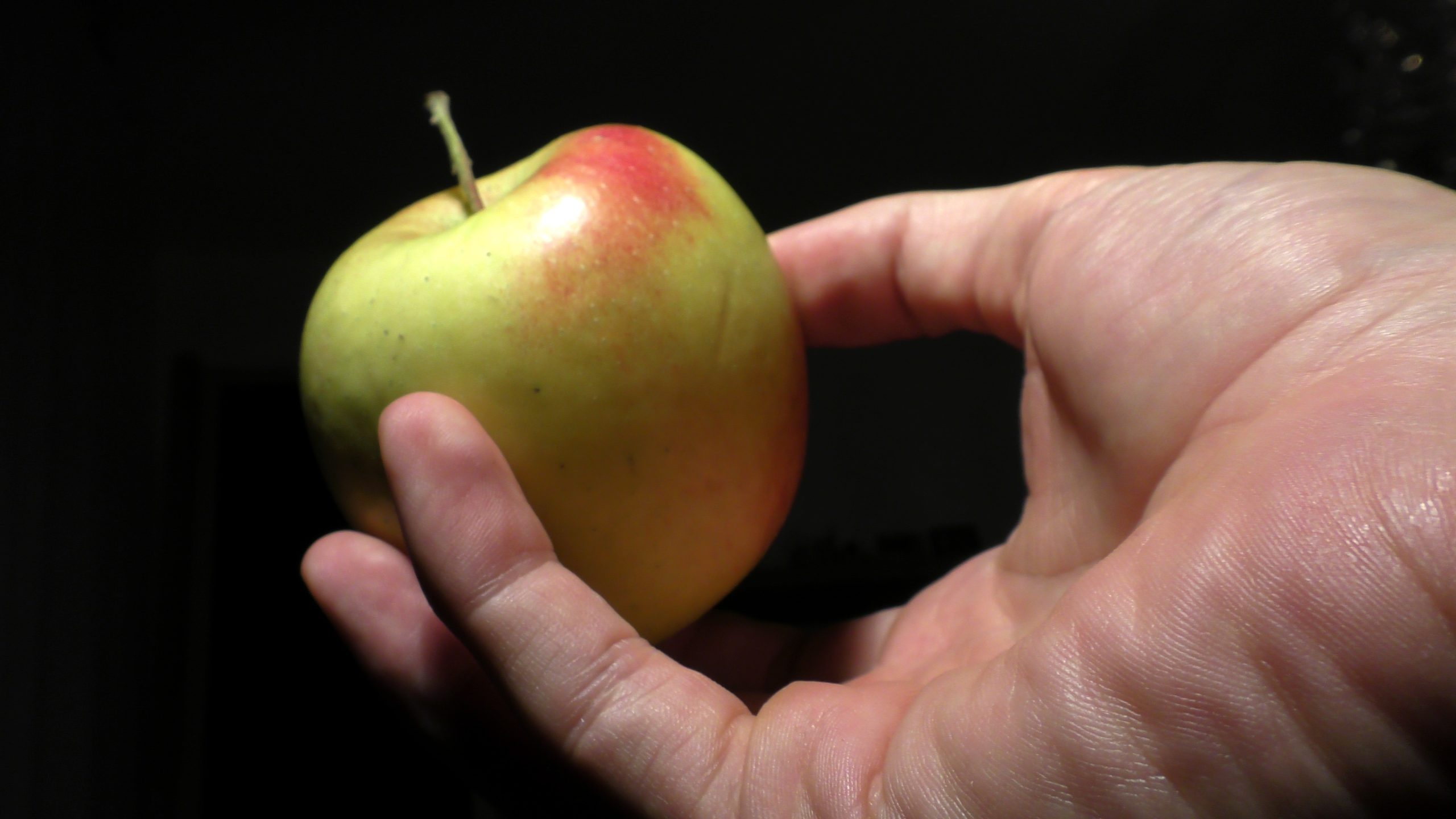 The apple