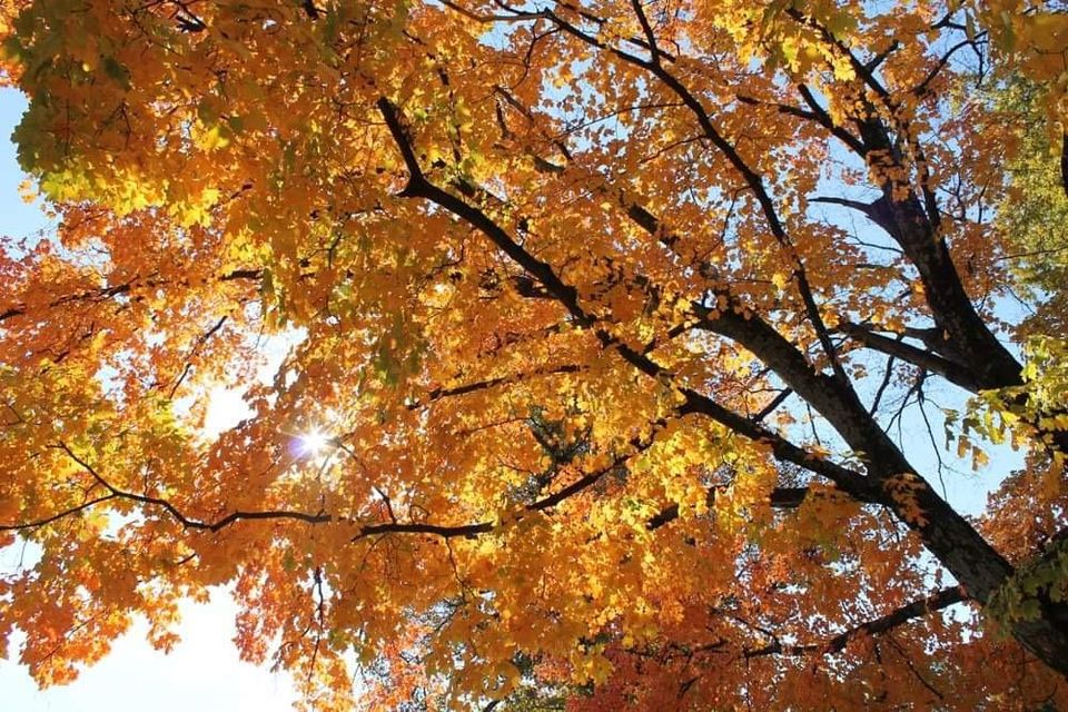 A time to begin&nbsp;anew