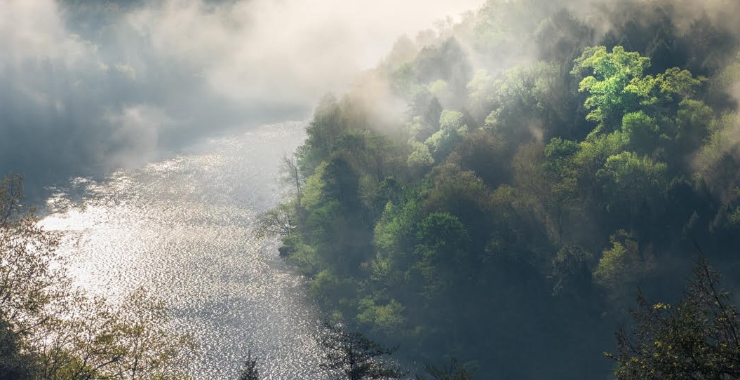 Fog Over the Cumberland