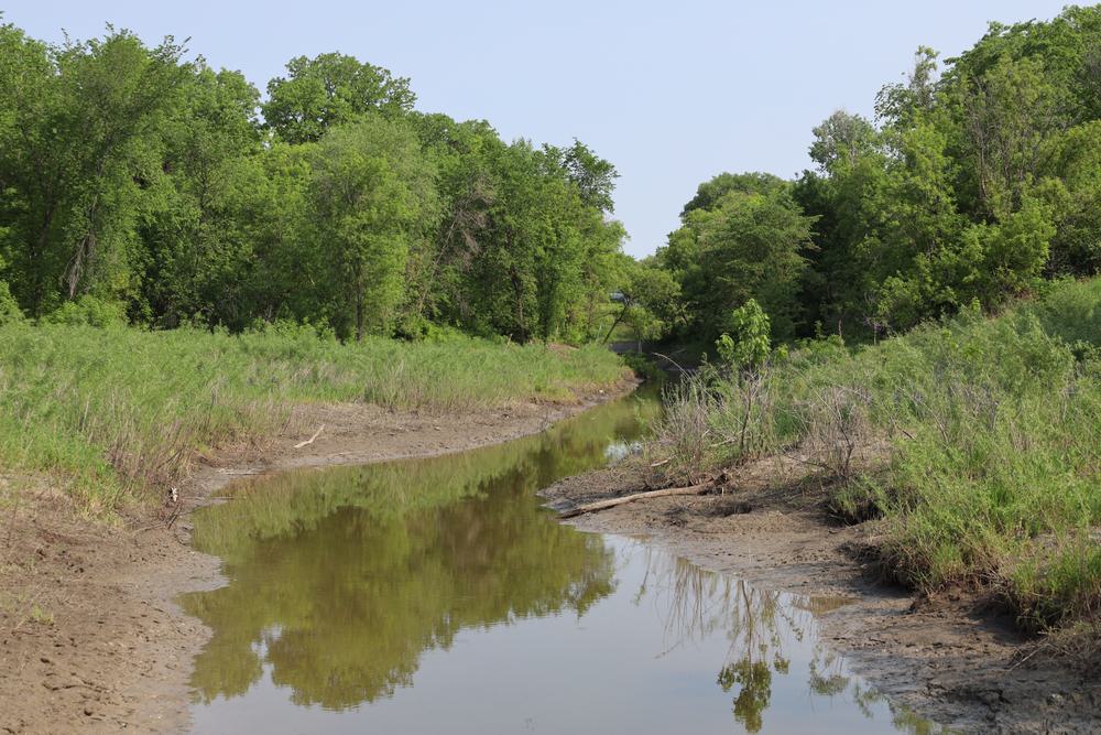 A muddy creek