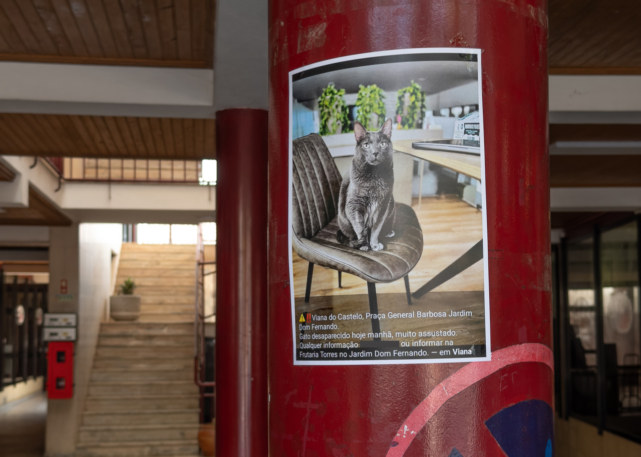 Being a good neighbor is universal