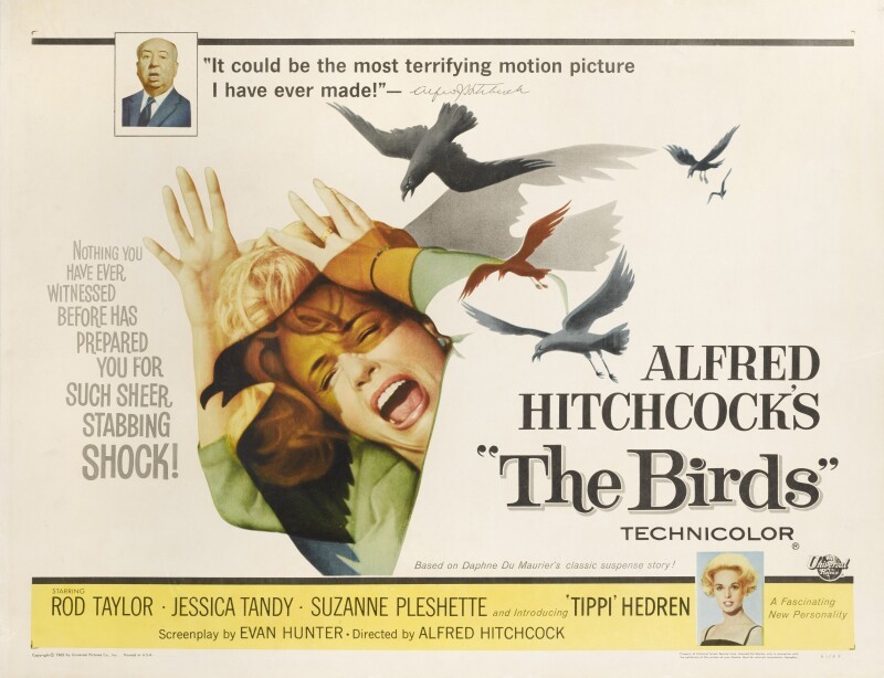 Movie poster: "The Birds"