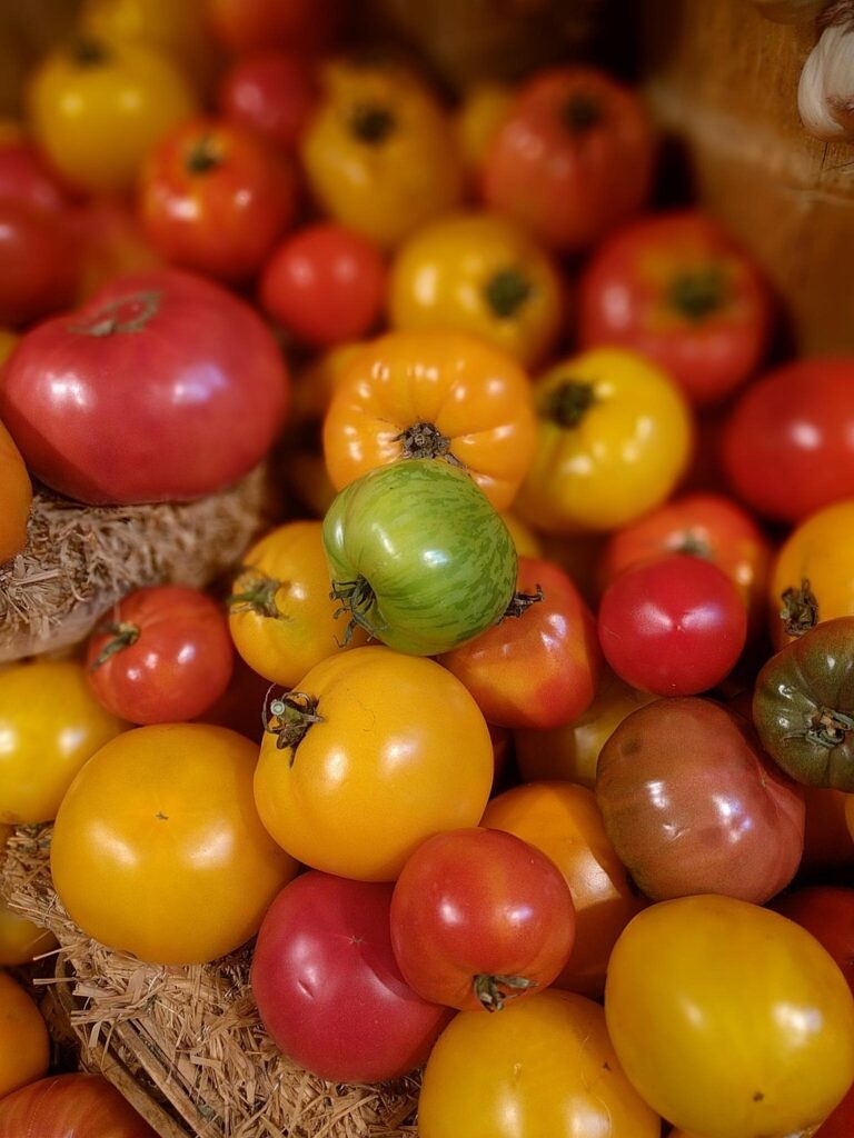Oh, those summer tomatoes!